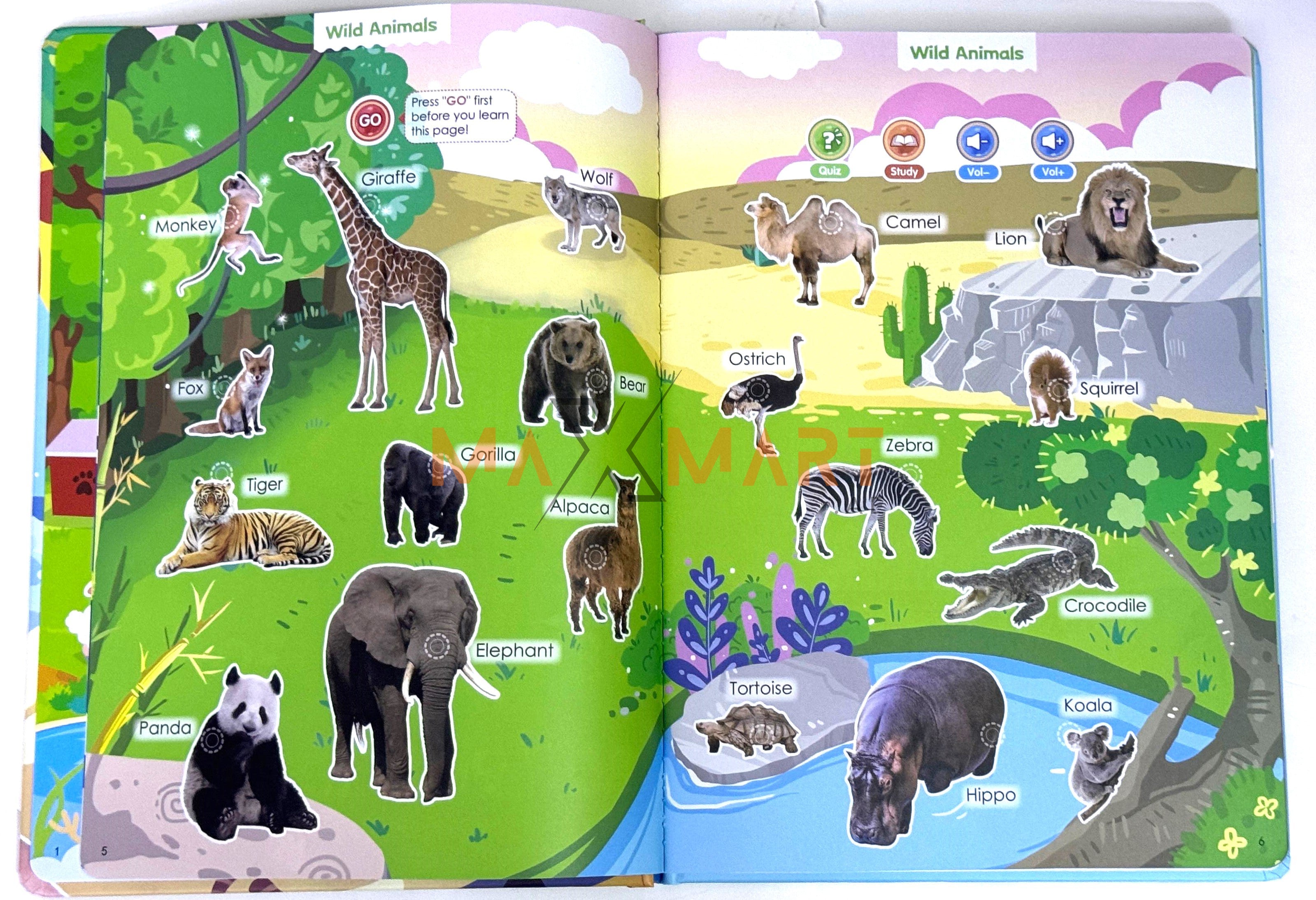 Sound Books for Kids Interactive & Educational – Learn & Play with Fun (Set of 4)